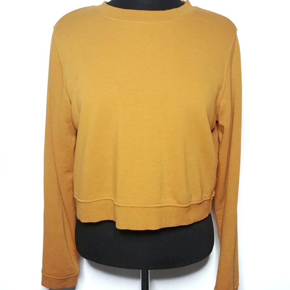 H&M Divided, Crop Sweatshirt, Burnt Orange, Sz. LG